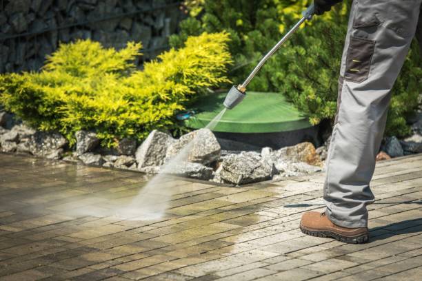Best Spring Cleaning  in Franklin, CA