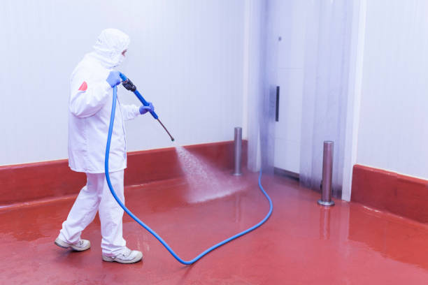 Best Post-Construction Pressure Washing  in Franklin, CA