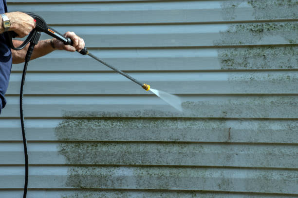 Best Gutter Cleaning  in Franklin, CA